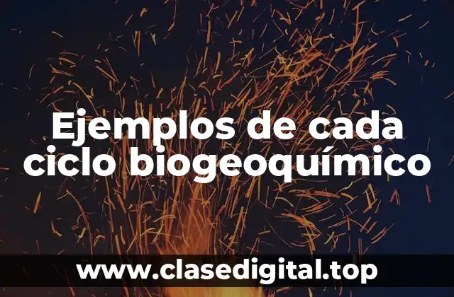 Ejemplos de cada ciclo biogeoquímico