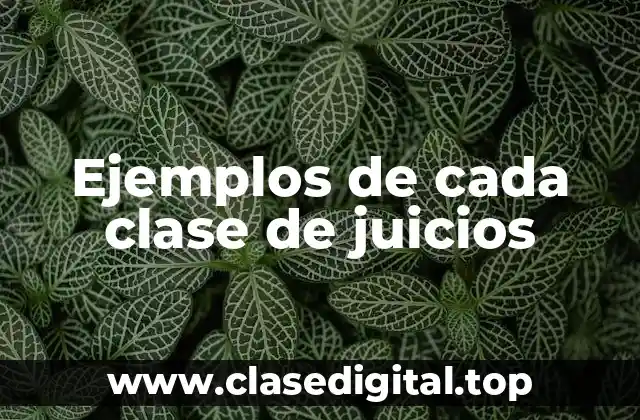 Ejemplos de cada clase de juicios