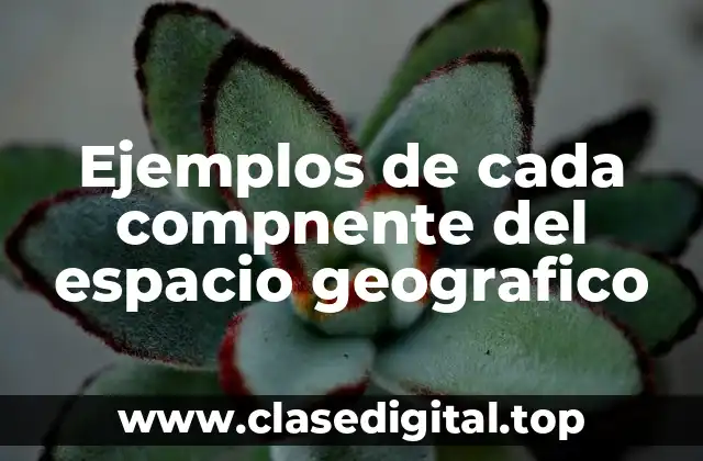 Ejemplos de cada compnente del espacio geografico