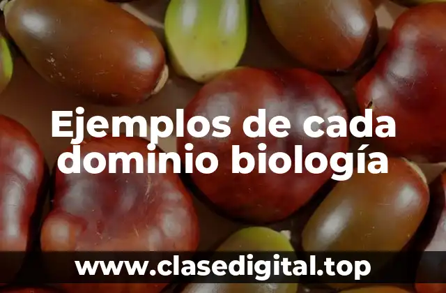 Ejemplos de cada dominio biología