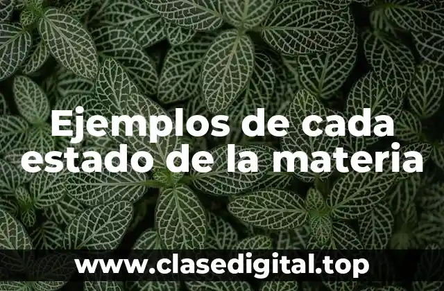 Ejemplos de cada estado de la materia