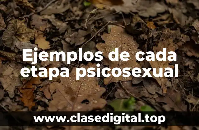 Ejemplos de cada etapa psicosexual