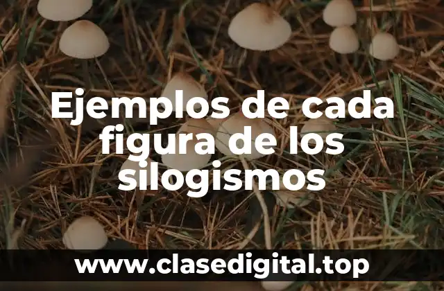 Ejemplos de cada figura de los silogismos