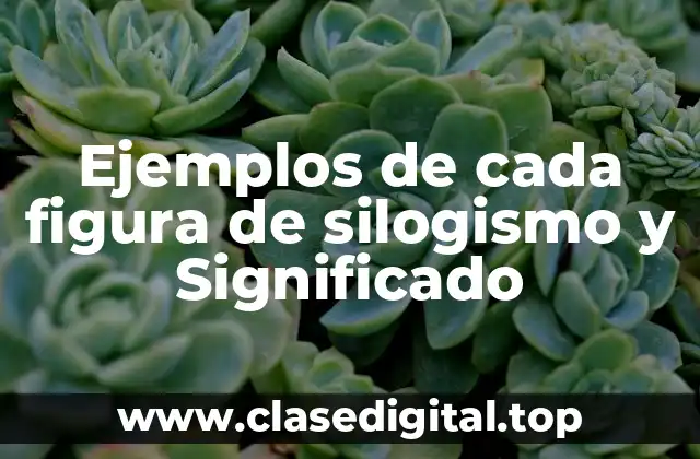 Ejemplos de cada figura de silogismo y Significado