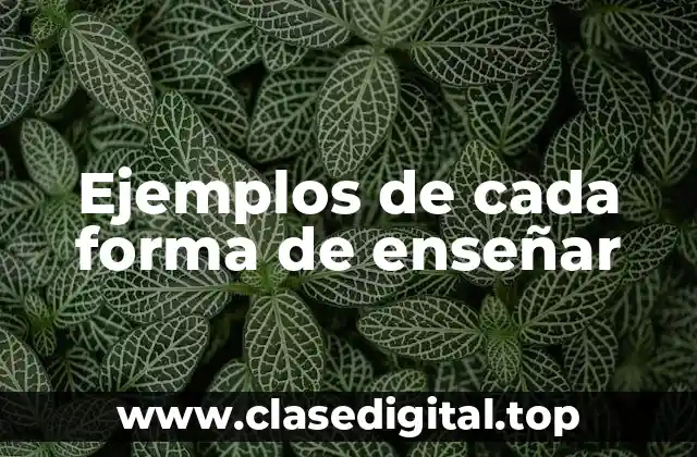 Ejemplos de cada forma de enseñar