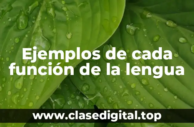 Ejemplos de cada función de la lengua