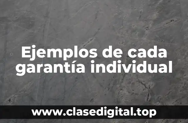 Ejemplos de cada garantía individual