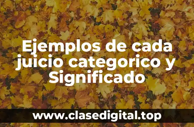 Ejemplos de cada juicio categorico y Significado