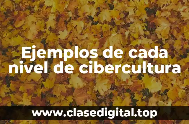Ejemplos de cada nivel de cibercultura