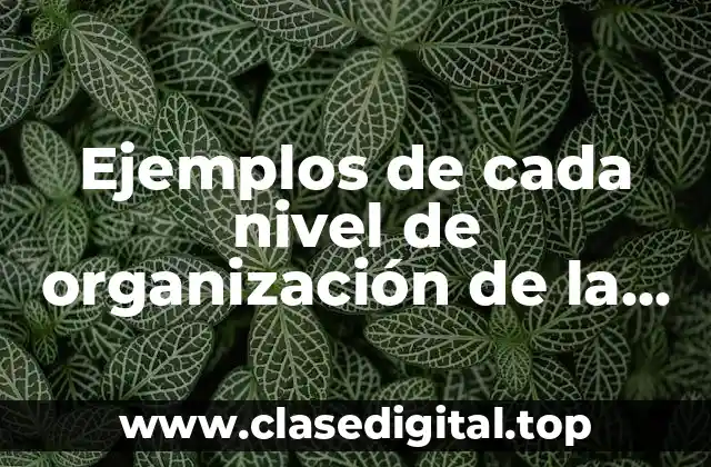 Ejemplos de cada nivel de organización de la materia