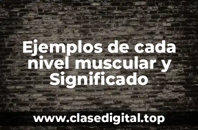Ejemplos de cada nivel muscular y Significado