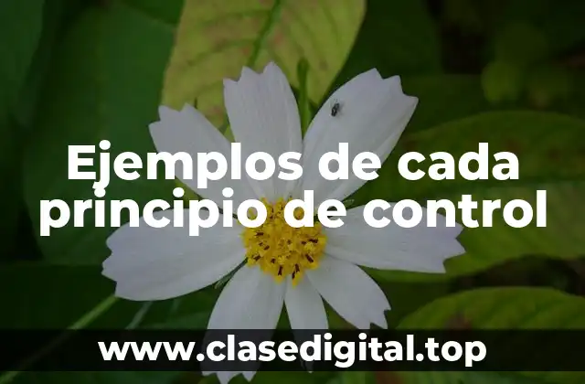 Ejemplos de cada principio de control
