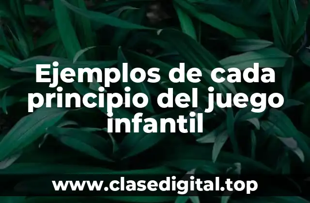Ejemplos de cada principio del juego infantil