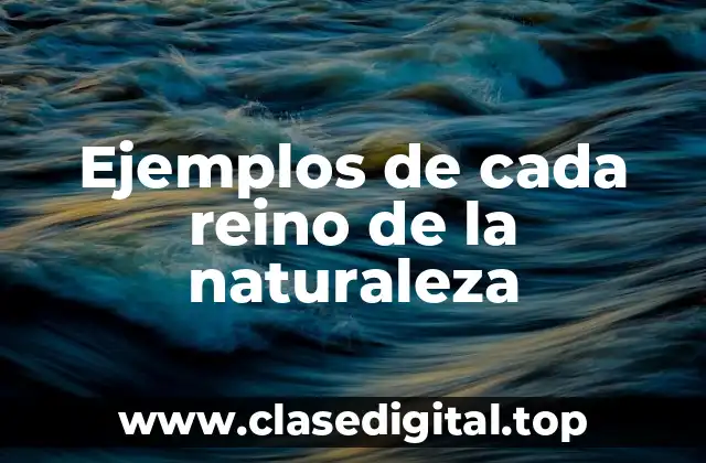Ejemplos de cada reino de la naturaleza