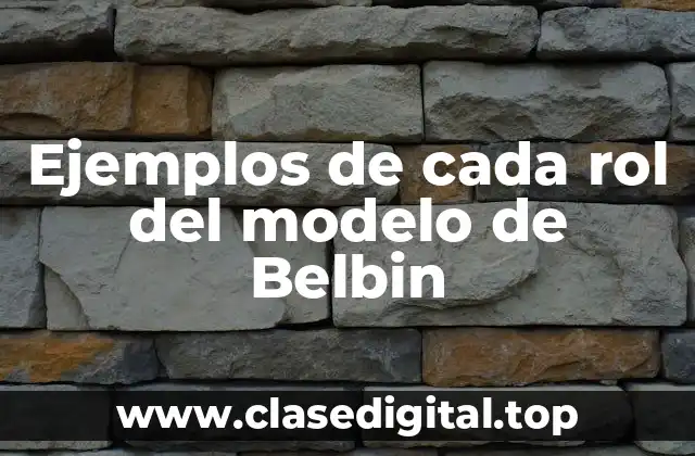 Ejemplos de cada rol del modelo de Belbin