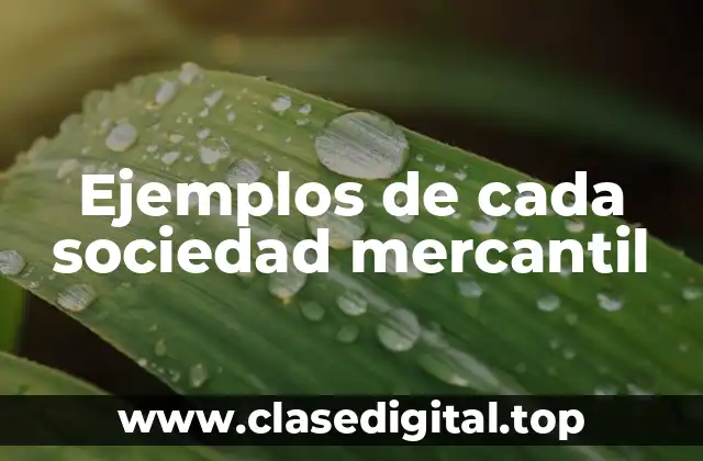 Ejemplos de cada sociedad mercantil