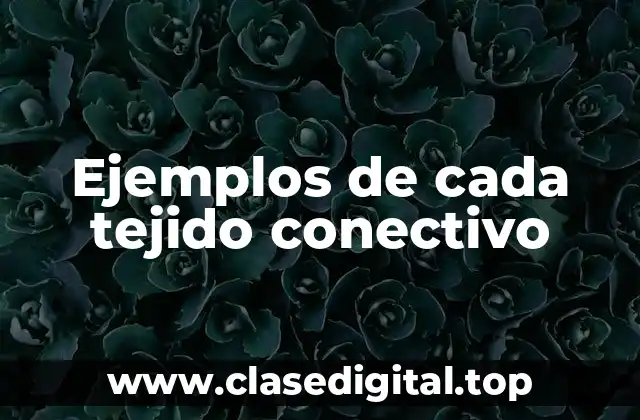 Ejemplos de cada tejido conectivo