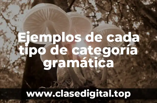 Ejemplos de cada tipo de categoría gramática