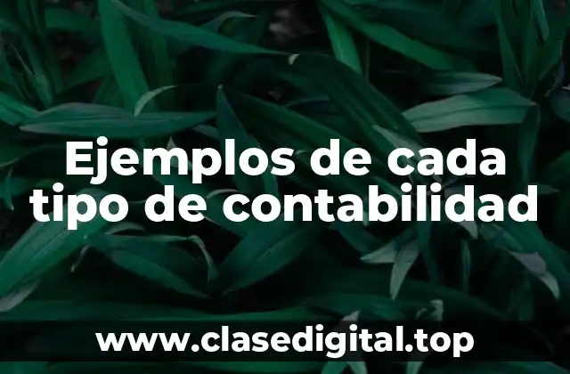 Ejemplos de cada tipo de contabilidad