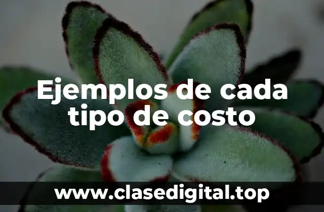 Ejemplos de cada tipo de costo