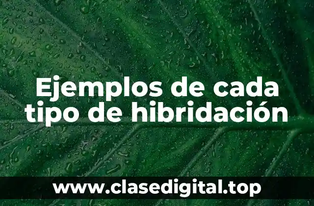 Ejemplos de cada tipo de hibridación