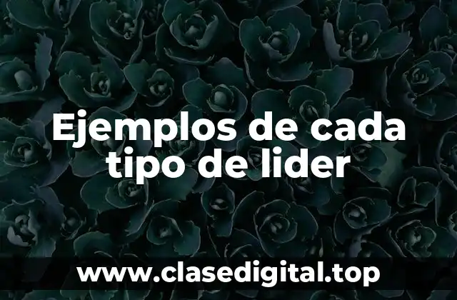 Ejemplos de cada tipo de lider