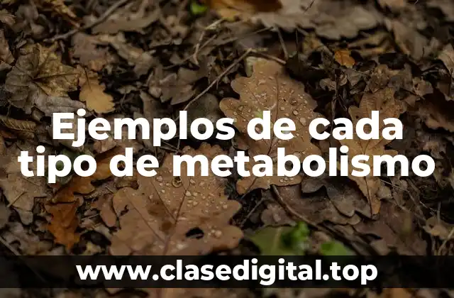 Ejemplos de cada tipo de metabolismo