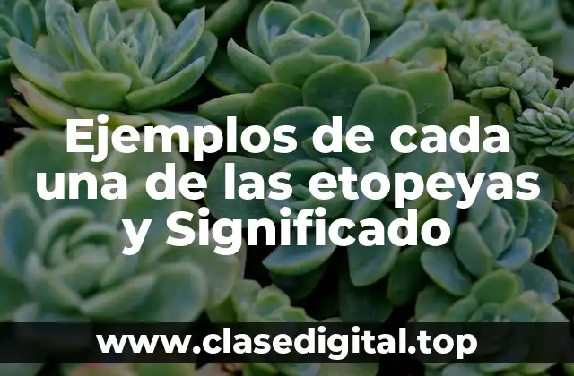 Ejemplos de cada una de las etopeyas y Significado