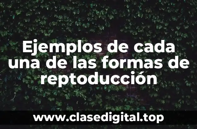 Ejemplos de cada una de las formas de reptoducción