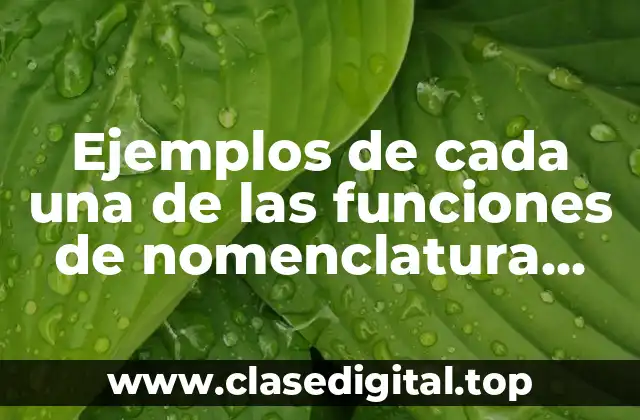 Ejemplos de cada una de las funciones de nomenclatura orgánica