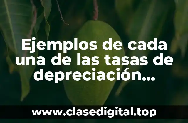 Ejemplos de cada una de las tasas de depreciación contable