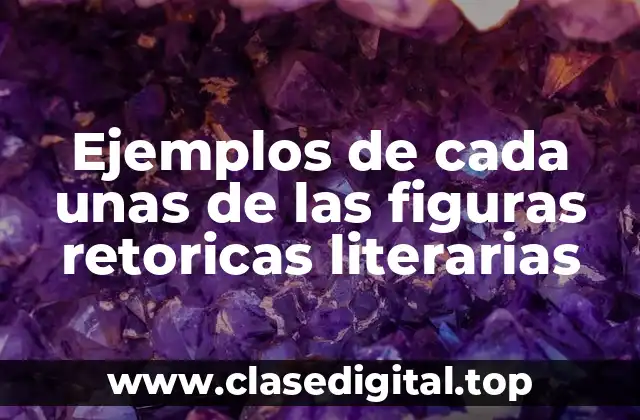 Ejemplos de cada unas de las figuras retoricas literarias