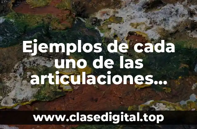 Ejemplos de cada uno de las articulaciones francesas