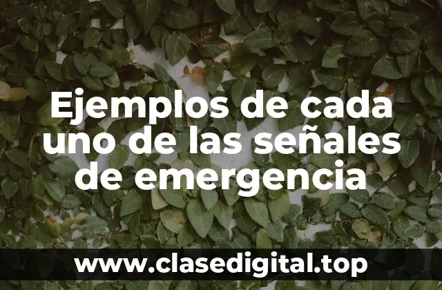 Ejemplos de cada uno de las señales de emergencia