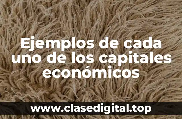 Ejemplos de cada uno de los capitales económicos