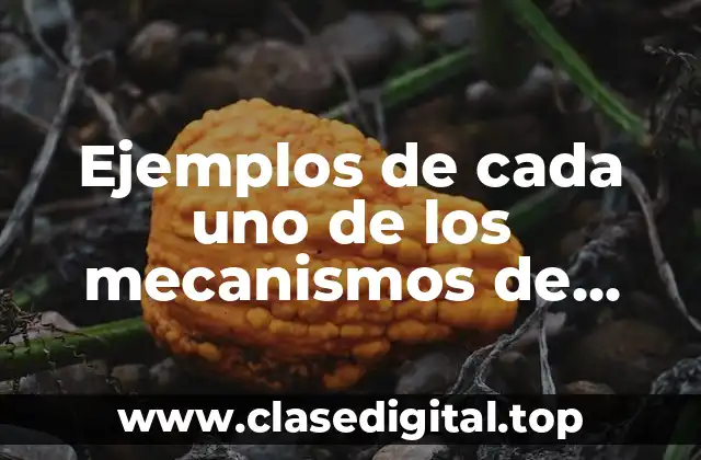 Ejemplos de cada uno de los mecanismos de coherencia