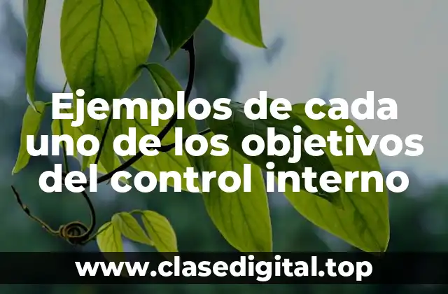 Ejemplos de cada uno de los objetivos del control interno