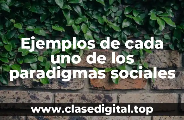 Ejemplos de cada uno de los paradigmas sociales
