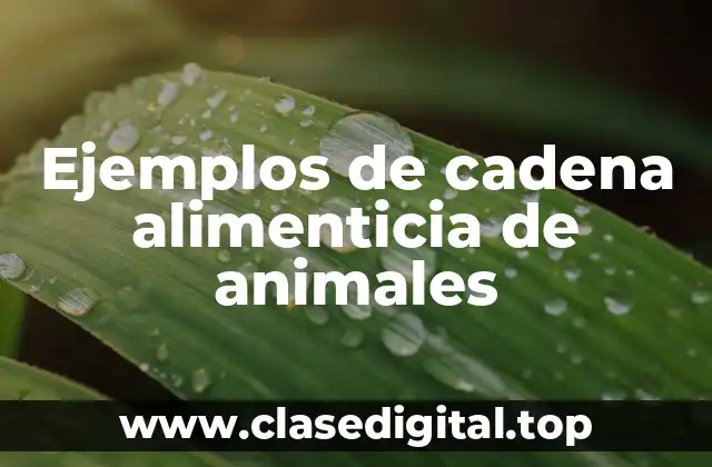 Ejemplos de cadena alimenticia de animales