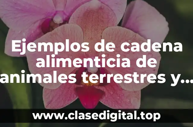 Ejemplos de cadena alimenticia de animales terrestres y Significado