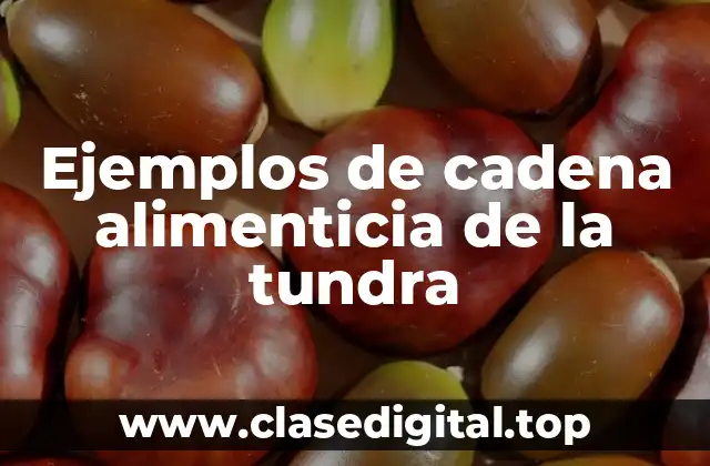 Ejemplos de cadena alimenticia de la tundra