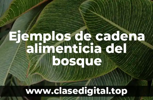 Ejemplos de cadena alimenticia del bosque