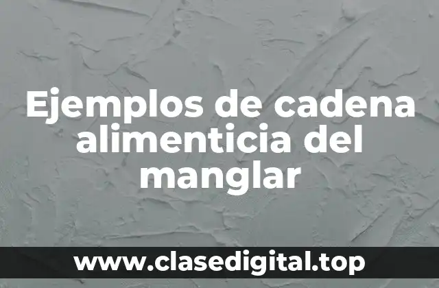 Ejemplos de cadena alimenticia del manglar