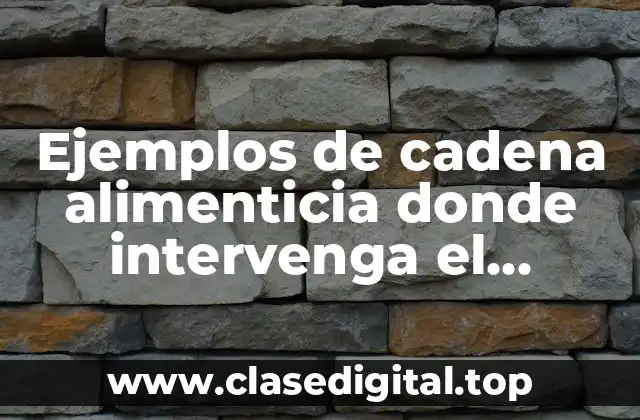 Ejemplos de cadena alimenticia donde intervenga el humano