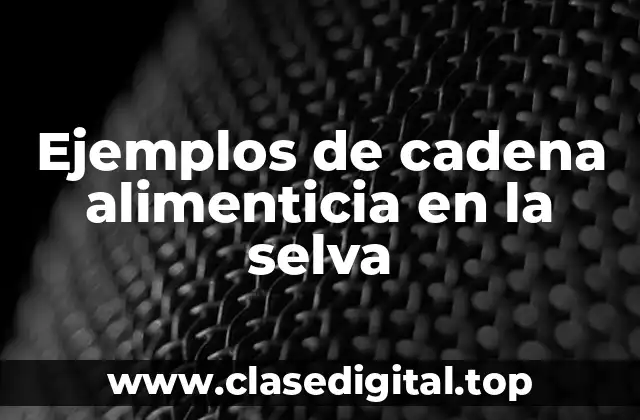 Ejemplos de cadena alimenticia en la selva