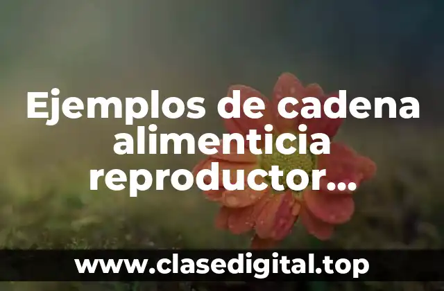 Ejemplos de cadena alimenticia reproductor consumidor