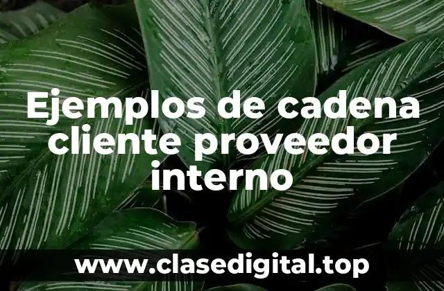 Ejemplos de cadena cliente proveedor interno