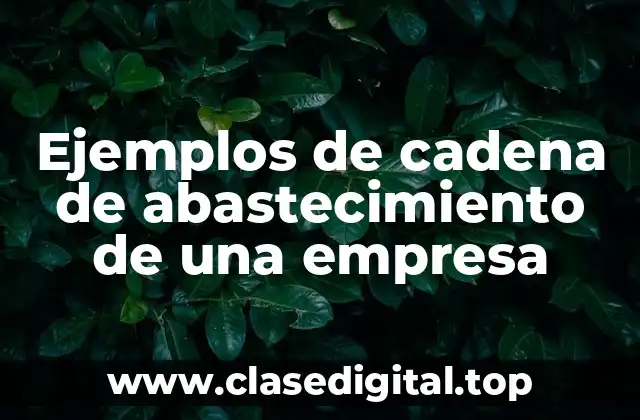 Ejemplos de cadena de abastecimiento de una empresa