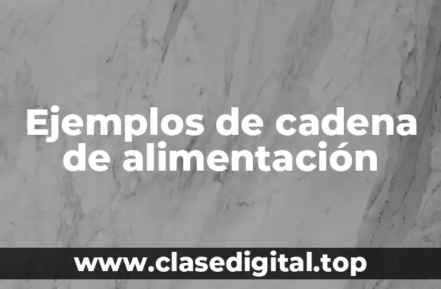Ejemplos de cadena de alimentación