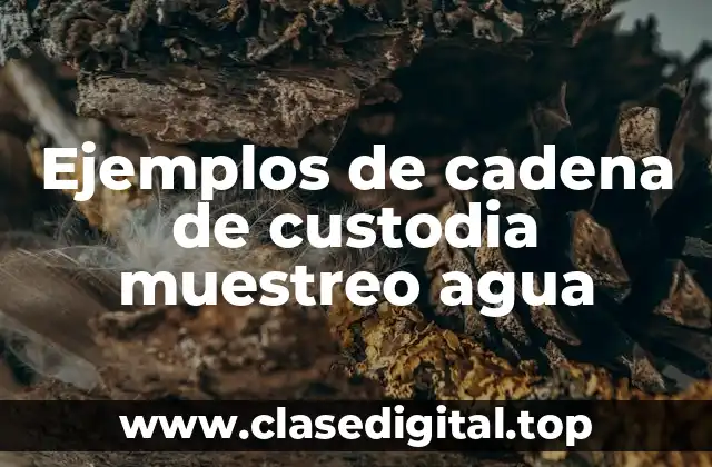 Ejemplos de cadena de custodia muestreo agua